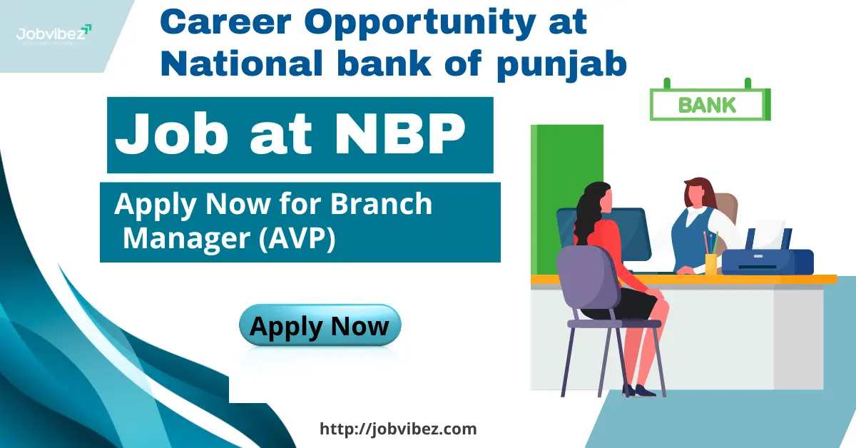 job at NBP